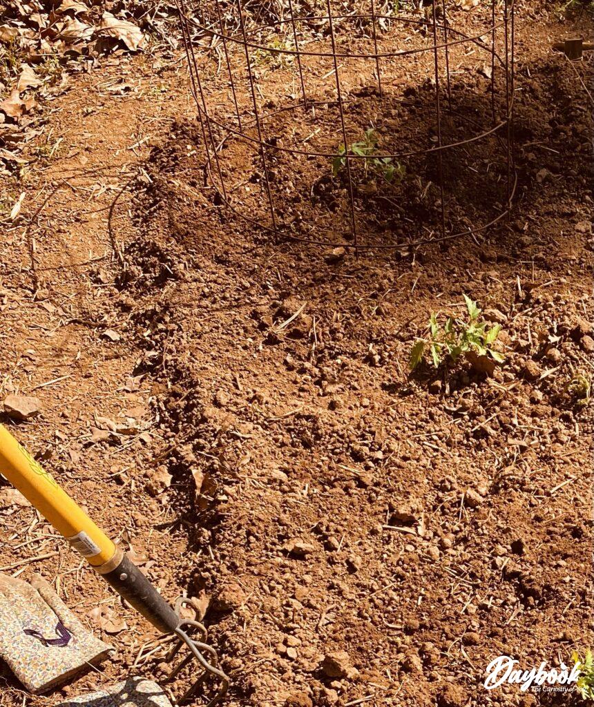 Step by step planting