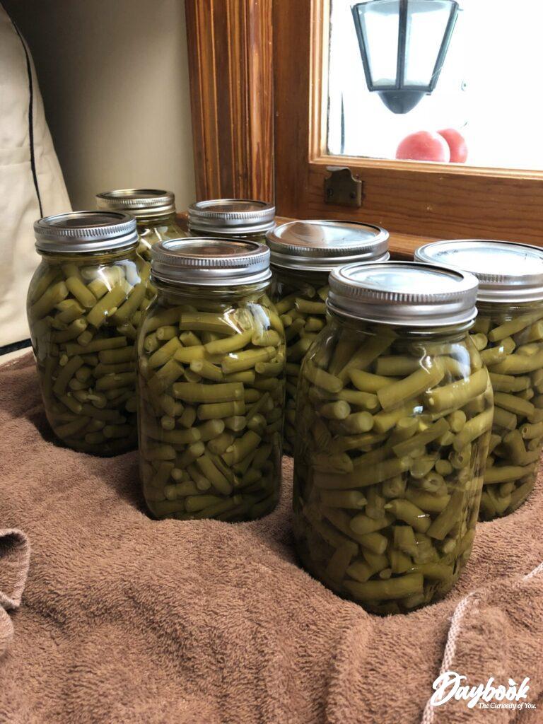 canned green beans