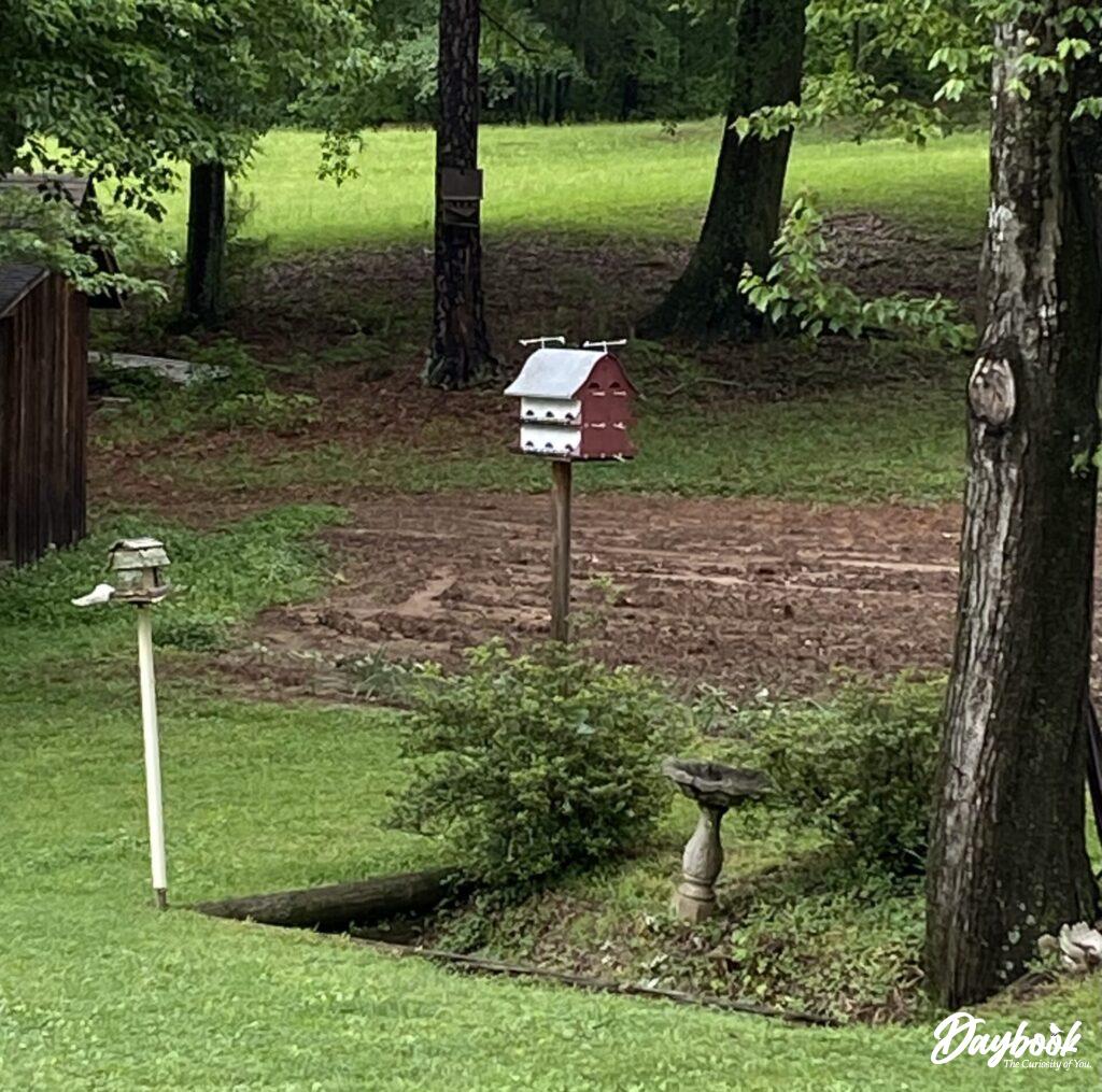 backyard garden with bird houses