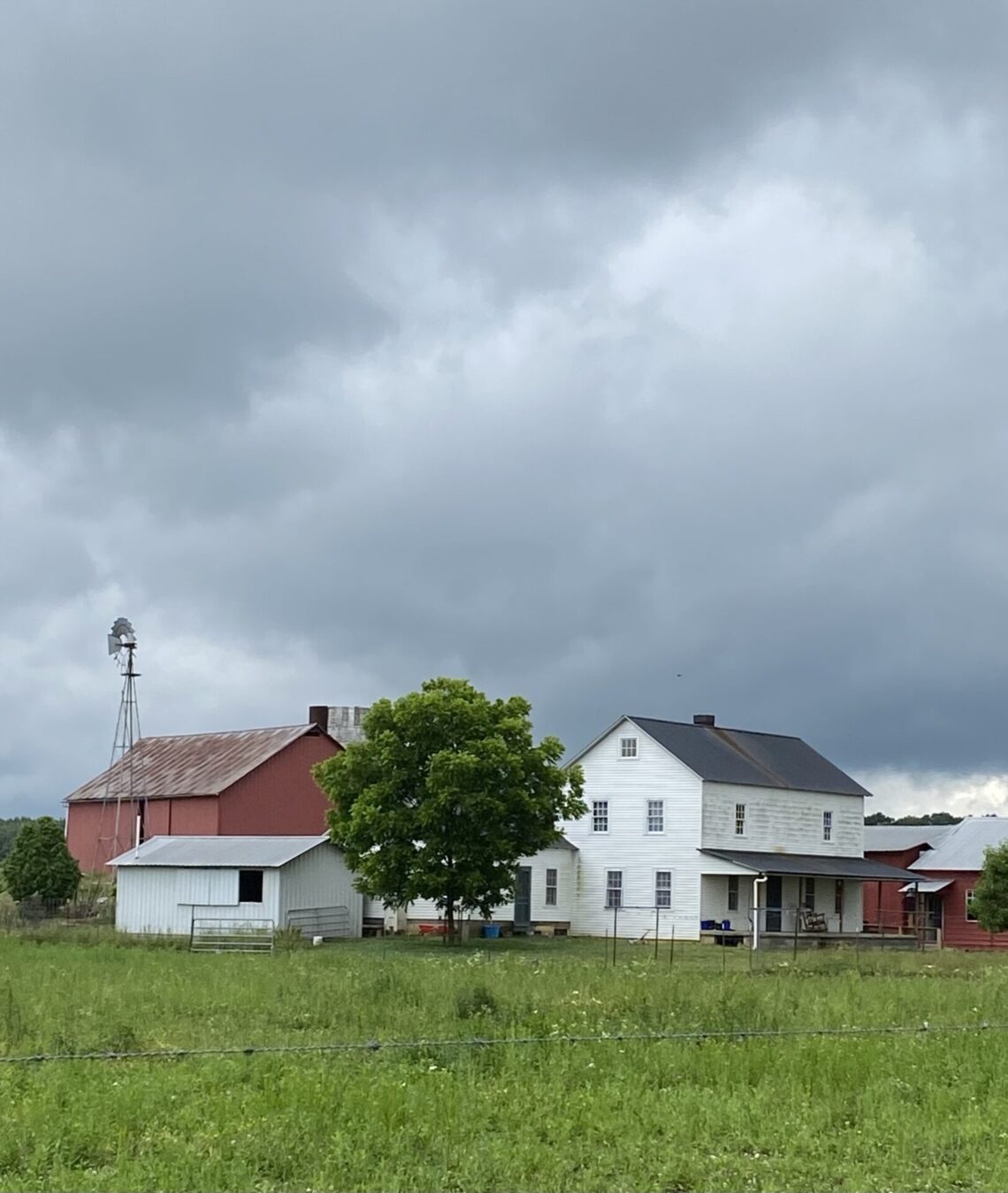 Top 5 Farms To Visit An Amish Community in Tennessee Daybook