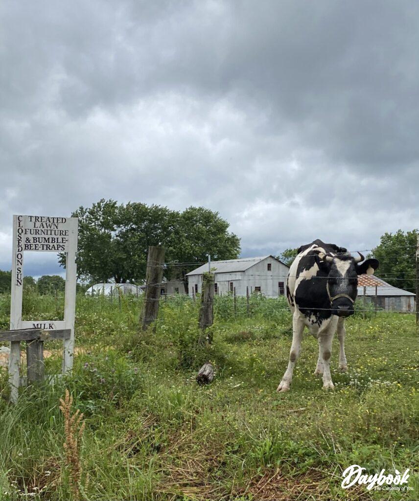 Amish community in Tennessee