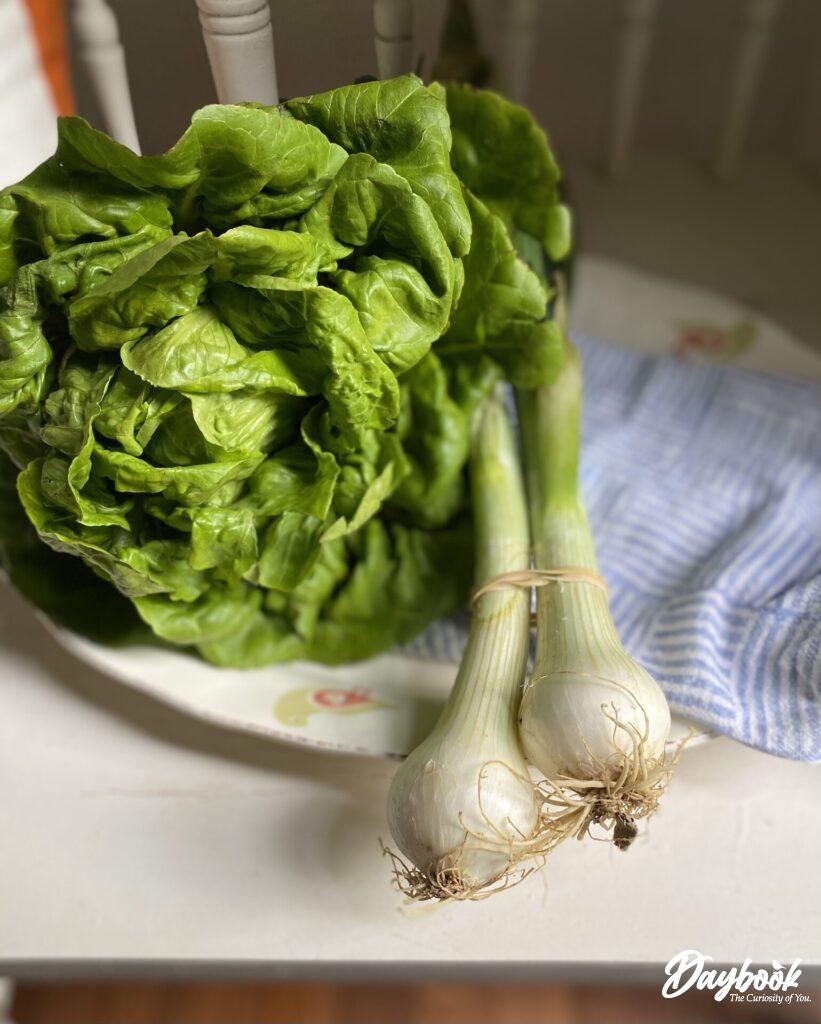 lettuce and onions