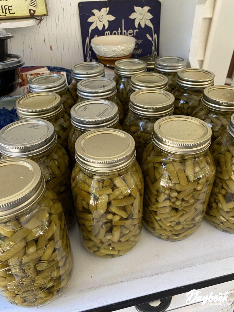 canned green beans