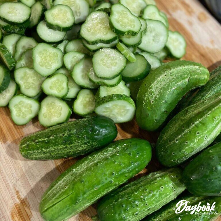 pickling cucumbers whole and sliced