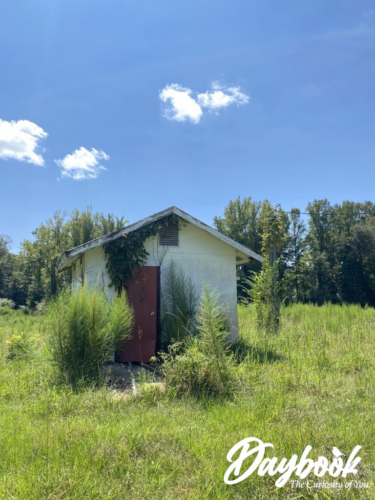 abandoned well house in a pasture