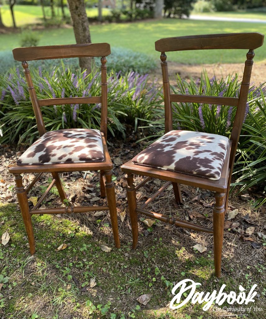 two vintage chairs with cowhide  seats