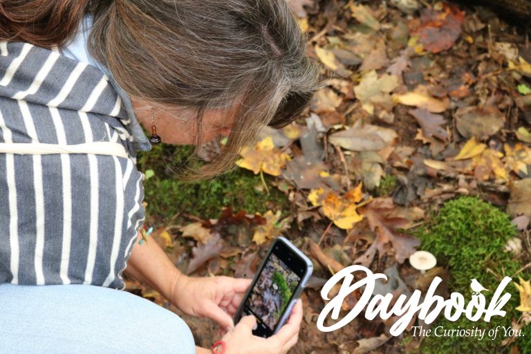 lady taking a picture of a mushroom
