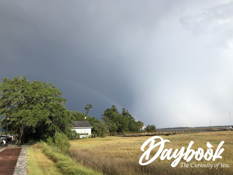 Stormy sky over a field of wheat