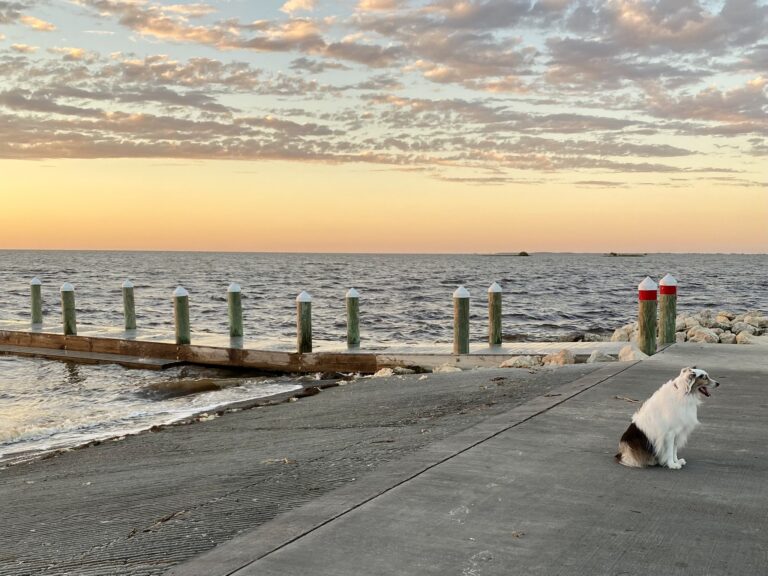 A sunset view on a boat dock in Florida.