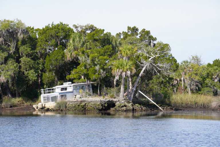 An abandoned ship on the bank of the river amongst trees and grasses