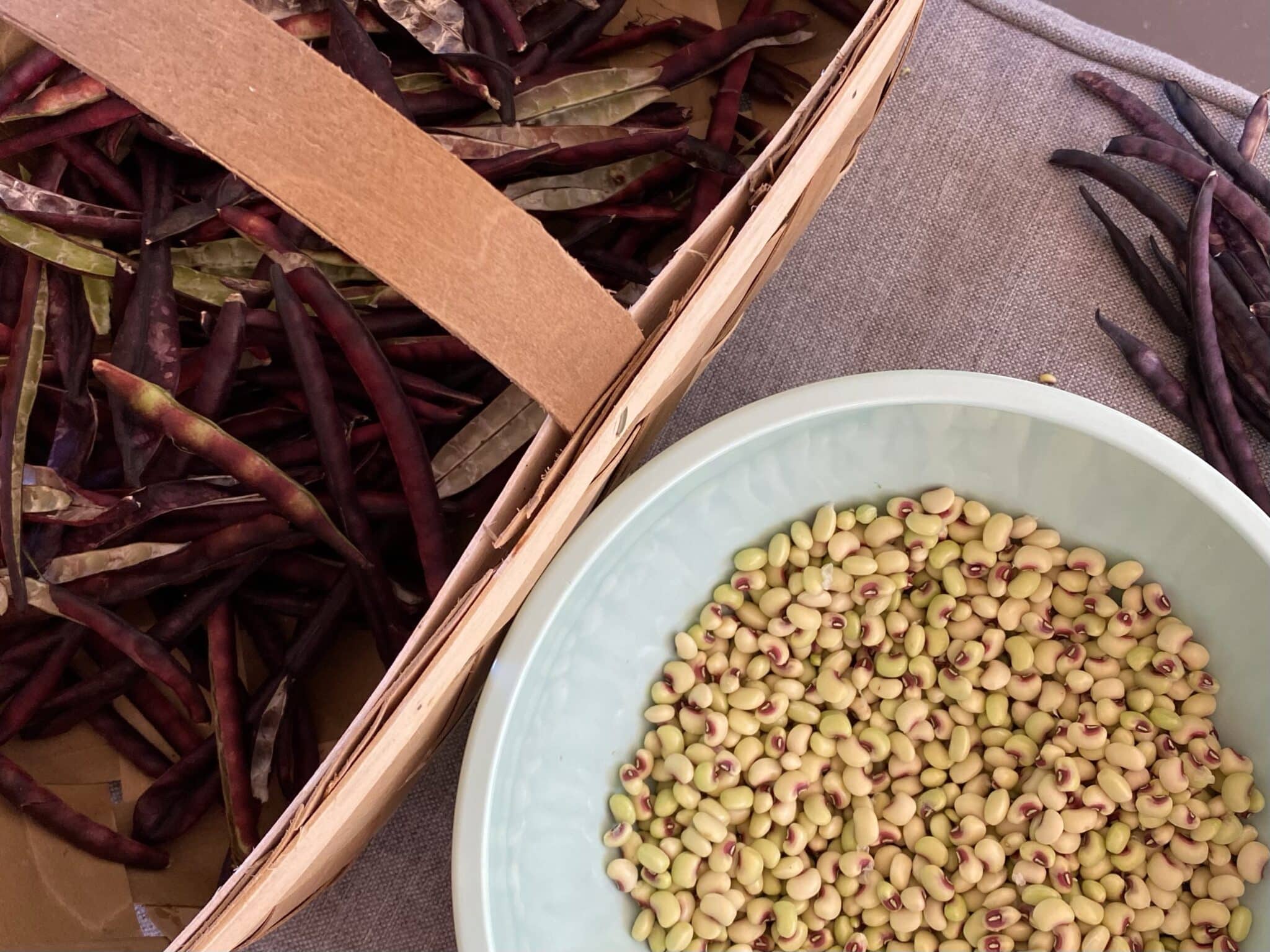 A basket with purple hull peas in the shell and a bowl of shelled peas