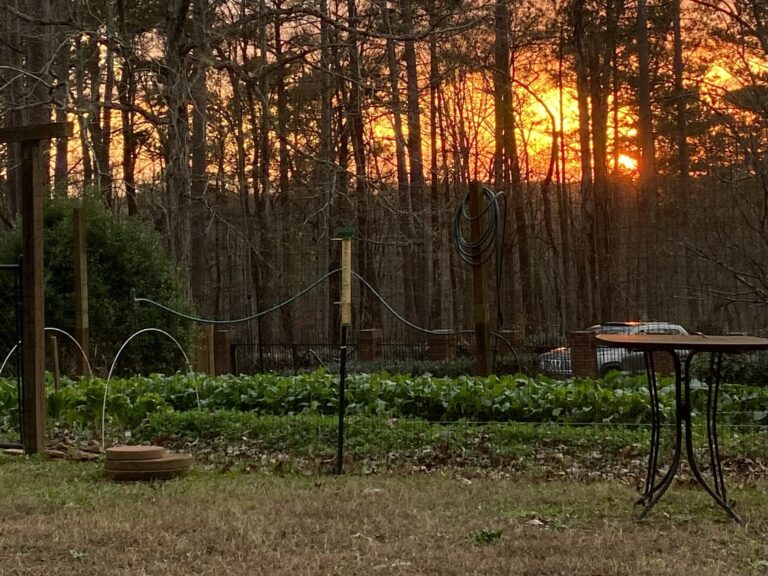 A view of a sunset from the top of a hillside.
